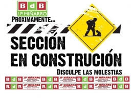 SECCION EN OBRAS, disculpen las molestias