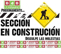SECCION EN OBRAS, disculpen las molestias