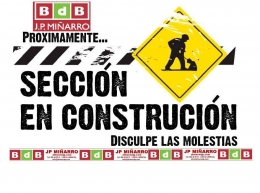 SECCION EN OBRAS, disculpen las molestias